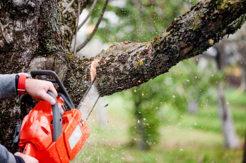 Apple Tree Removal in Montgomery County, PA