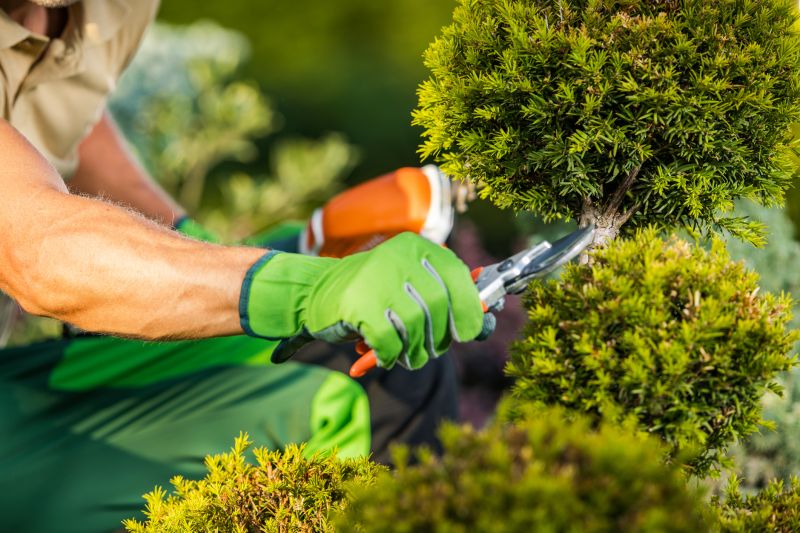 Bush Pruning in Rockwall, TX