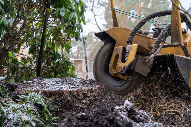 Commercial Stump Grinding in Aiken, SC