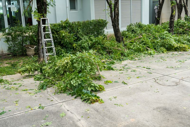 Dead Tree Removal in Bucks County, PA