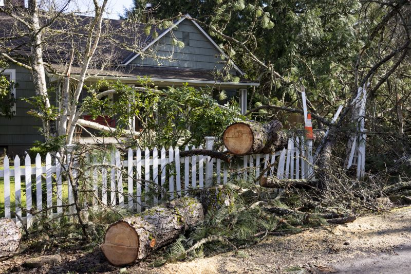 Emergency Tree Removal in Aiken, SC