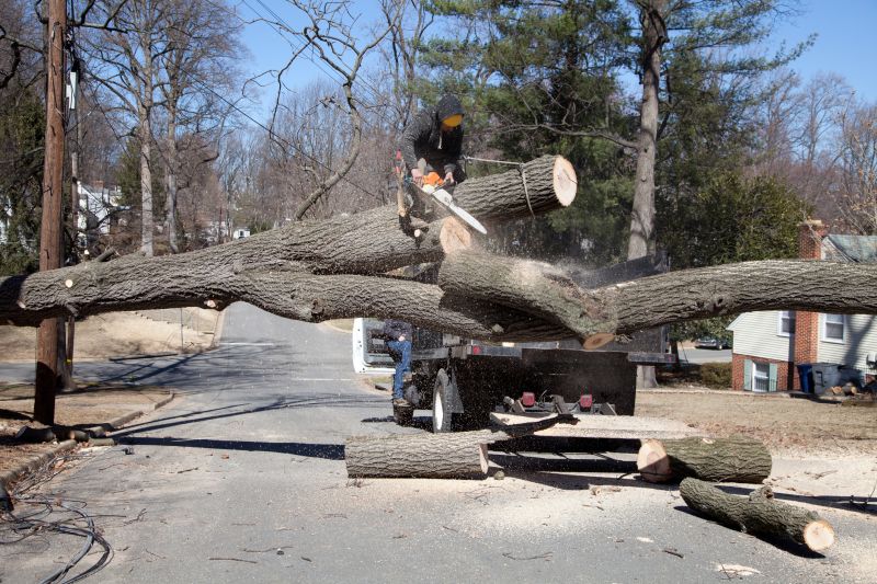 Emergency Tree Removal in Aiken, SC