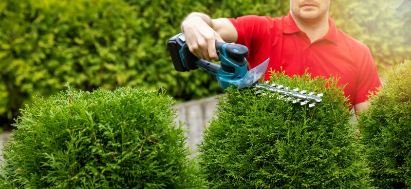 Evergreen Hedge Trimming in Ventura County, CA