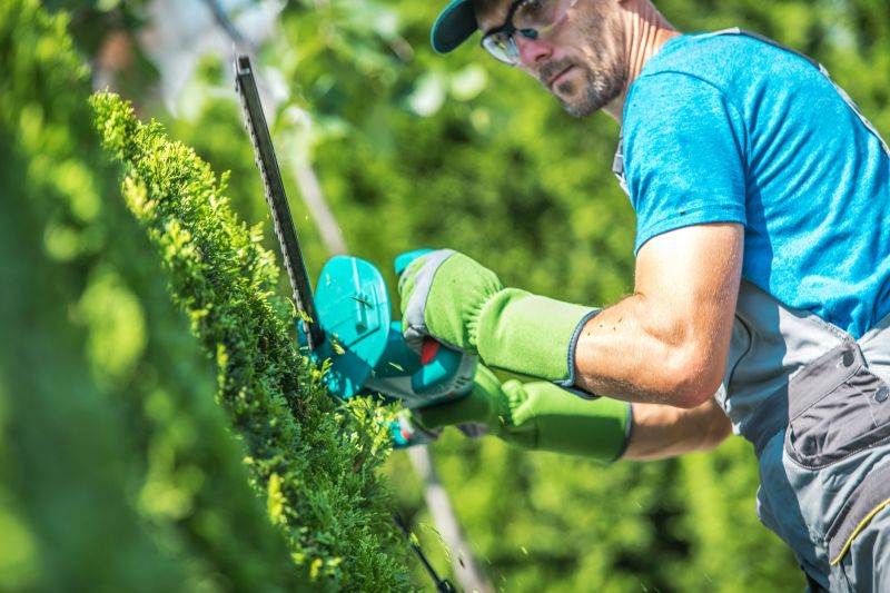 Shrub Trimming in Honolulu, HI